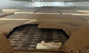 1764747702318 41228 S4