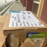 1765271167403 41261 S4