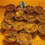 1766055272295 1113 S4