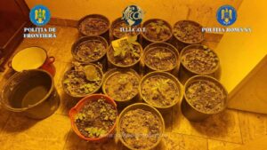 1766055272295 1113 S4