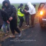 1766742142358 1156 S4