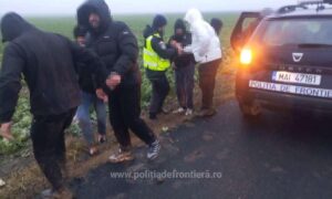 1766742142358 1156 S4