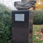 Busturi Parcul Scudier Image 2025 12 09 at 13.14.54 (5)