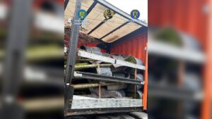 WhatsApp Image 2025 12 16 at 15.50.43