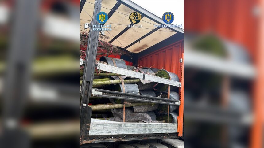 WhatsApp Image 2025 12 16 at 15.50.43