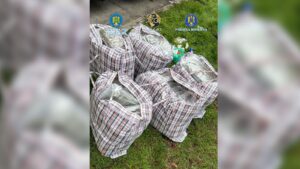 WhatsApp Image 2025 12 16 at 15.50.44