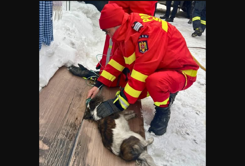 Opera Snapshot 2026 01 15 204531 616317167 1312564124248256 2082097854137955711 n.jpg