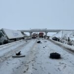 WhatsApp Image 2026 01 13 at 10.42.56