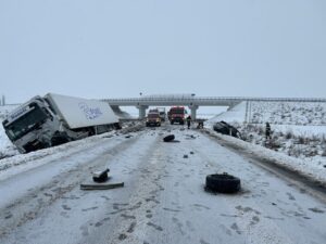 WhatsApp Image 2026 01 13 at 10.42.56