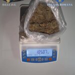 WhatsApp Image 2026 01 25 at 09.30.35