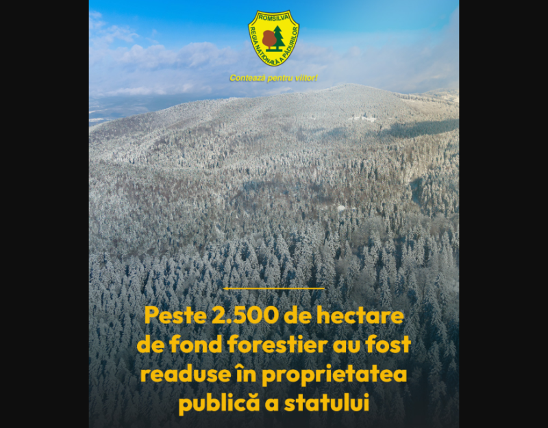 Opera Snapshot 2026 02 25 115641 vizual padure bretcu.jpg