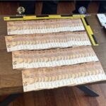 WhatsApp Image 2026 02 06 at 13.22.53