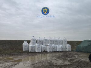 WhatsApp Image 2026 02 08 at 14.15.52