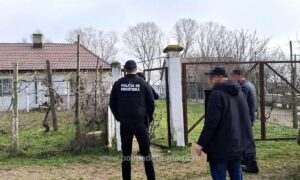 1773229181256 42638 S4