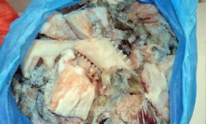 1773229181346 42637 S4