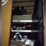 1774941776337 495 S4