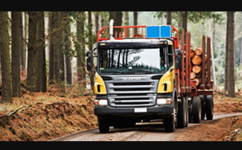 Opera Snapshot 2026 03 16 151913 forestier.png