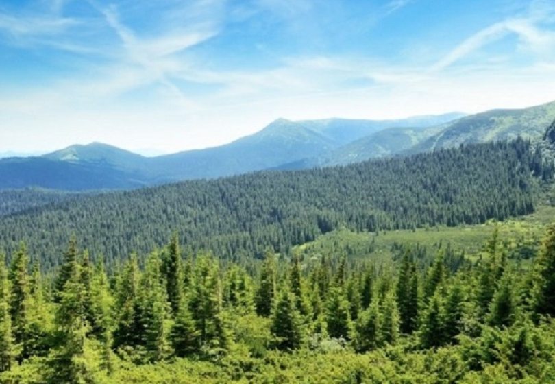 Opera Snapshot 2026 03 30 075234 1.jpg