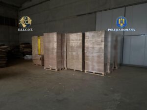 WhatsApp Image 2026 03 04 at 11.10.01 (1)