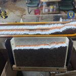 WhatsApp Image 2026 03 04 at 11.10.01 (5)