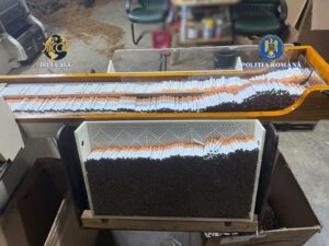 WhatsApp Image 2026 03 04 at 11.10.01 (5)