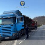 WhatsApp Image 2026 03 10 at 11.53.35