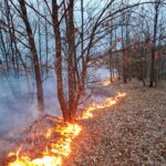 WhatsApp Image 2026 03 23 at 09.24.33 (1)