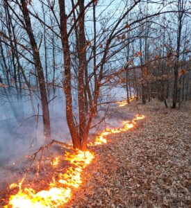 WhatsApp Image 2026 03 23 at 09.24.33 (1)