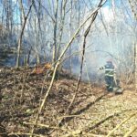 WhatsApp Image 2026 03 23 at 09.24.33