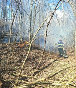 WhatsApp Image 2026 03 23 at 09.24.33