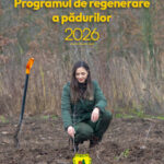 Vizual program impaduriri