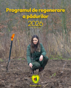 Vizual program impaduriri