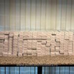 1776936022338 whatsappimage20260423at103020 S4