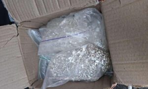 1777102176197 1221 S4