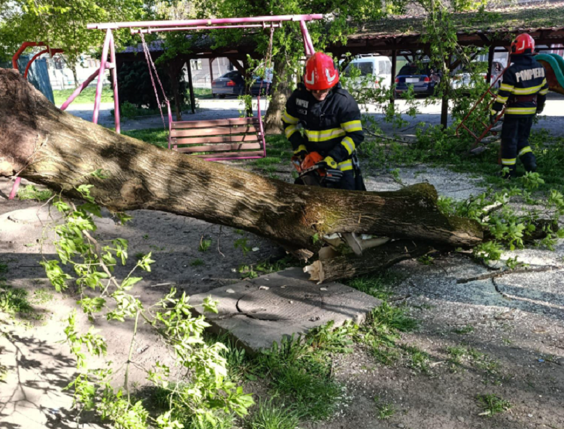 Opera Snapshot 2026 04 27 123747 WhatsApp202026 04 272009.05.24.jpeg