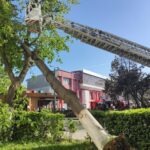 WhatsApp Image 2026 04 27 at 09.05.21