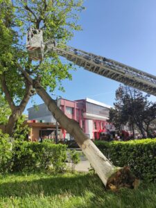 WhatsApp Image 2026 04 27 at 09.05.21