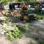 WhatsApp Image 2026 04 27 at 09.05.24