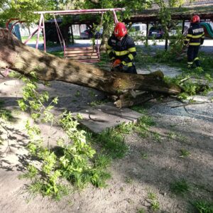 WhatsApp Image 2026 04 27 at 09.05.24