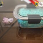 WhatsApp Image 2026 04 29 at 14.44.20 (1)