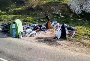 Poliția Locală Timișoara: Amenzi de peste 1 milion de lei pentru cei care transformă orașul în groapă de gunoi