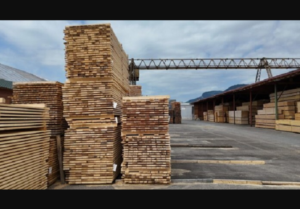Prelucrarea lemnului a crescut în aprilie, dar mobila se prăbușește: ASFOR avertizează că România pierde valoarea adăugată, nu resursa