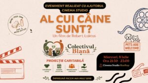 Colectivul Blană organizează două evenimente caritabile dedicate animalelor și comunității