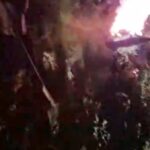 Foc01