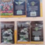 1788434006109 whatsappimage20260903at1411001 S4