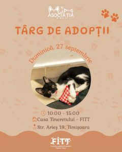 Copy of targ adoptii (2)