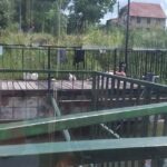 Bega4